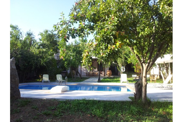 Traditional stone made villa with private pool and garden in Crete